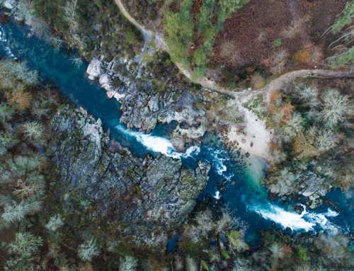 Rio Tea – Fotografía Aérea